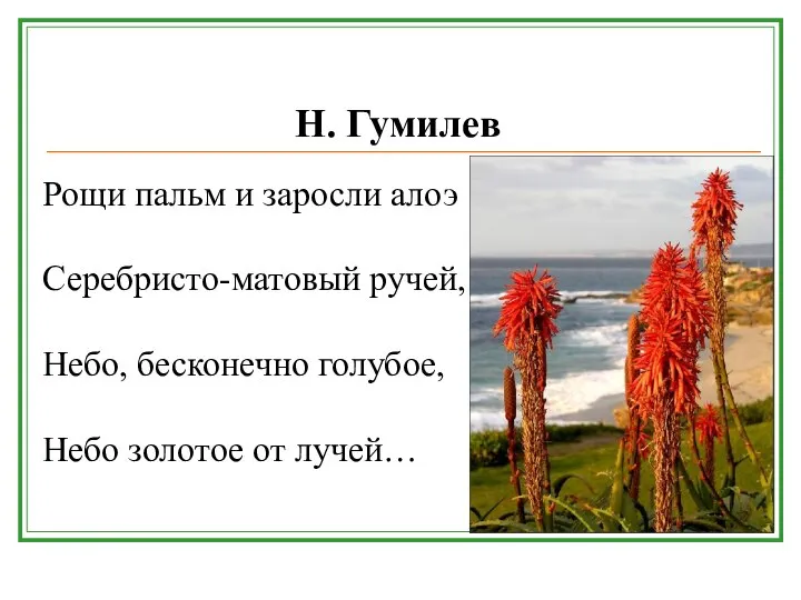 Рощи пальм и заросли алоэ Серебристо-матовый ручей, Небо, бесконечно голубое, Небо золотое от лучей… Н. Гумилев