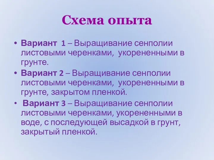 Схема опыта Вариант 1 – Выращивание сенполии листовыми черенками, укорененными в