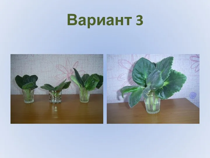 Вариант 3