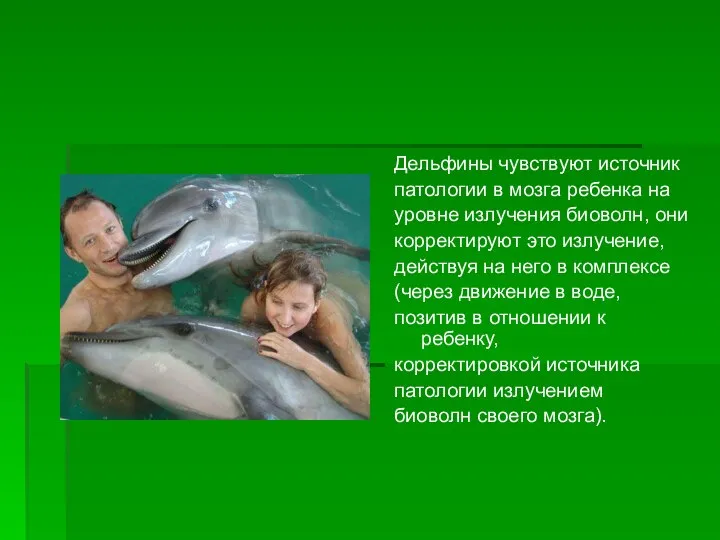 Дельфины чувствуют источник патологии в мозга ребенка на уровне излучения биоволн,
