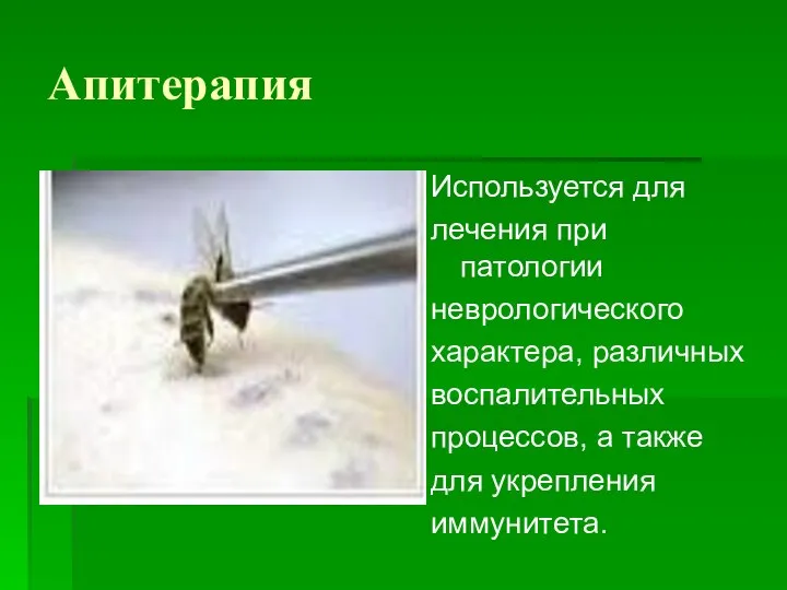 Апитерапия Используется для лечения при патологии неврологического характера, различных воспалительных процессов, а также для укрепления иммунитета.