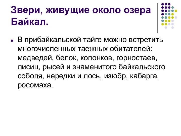 Звери, живущие около озера Байкал. В прибайкальской тайге можно встретить многочисленных