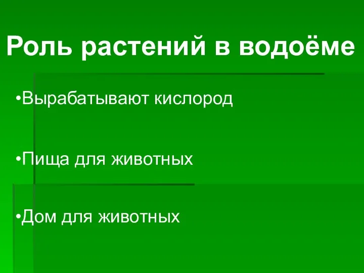 Вырабатывают кислород Пища для животных Дом для животных Роль растений в водоёме