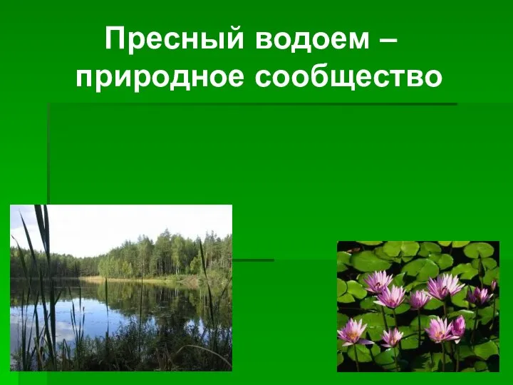 Пресный водоем – природное сообщество