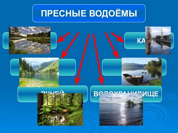 ПРЕСНЫЕ ВОДОЁМЫ РЕКА ОЗЕРО РУЧЕЙ КАНАЛ ПРУД ВОДОХРАНИЛИЩЕ