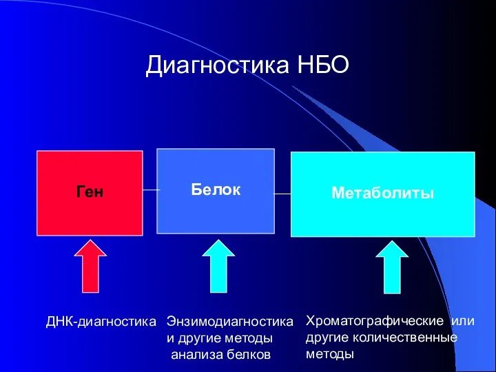 Диагностика НБО Ген Белок Метаболиты ДНК-диагностика Энзимодиагностика и другие методы анализа