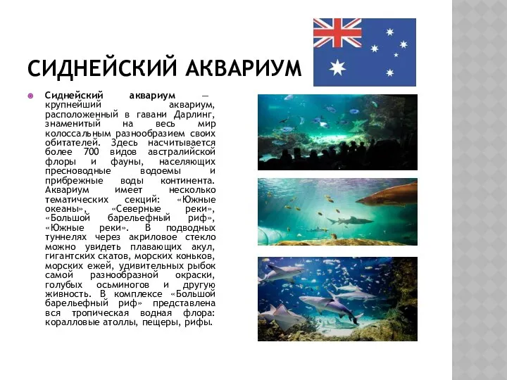 Сиднейский аквариум Сиднейский аквариум — крупнейший аквариум, расположенный в гавани Дарлинг,