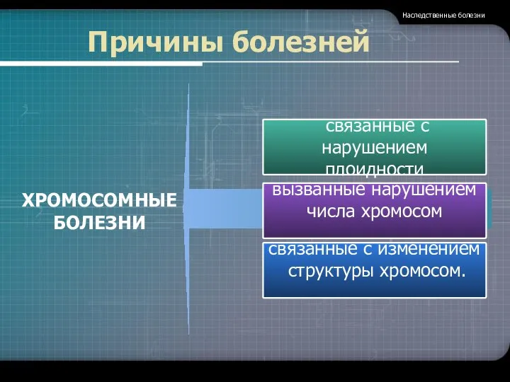 Причины болезней связанные с нарушением плоидности вызванные нарушением числа хромосом связанные