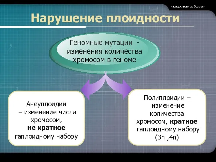 Нарушение плоидности Наследственные болезни Геномные мутации - изменения количества хромосом в