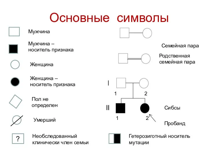 Основные символы Семейная пара ǀ ΙΙ ? 1 2 1 2