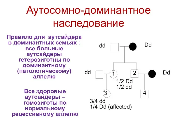 Аутосомно-доминантное наследование Правило для аутсайдера в доминантных семьях : все больные