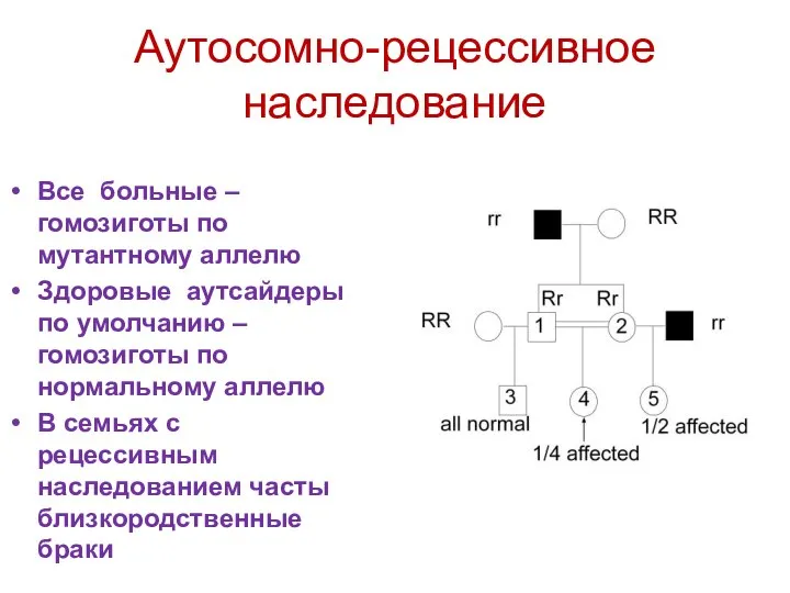 Аутосомно-рецессивное наследование Все больные – гомозиготы по мутантному аллелю Здоровые аутсайдеры