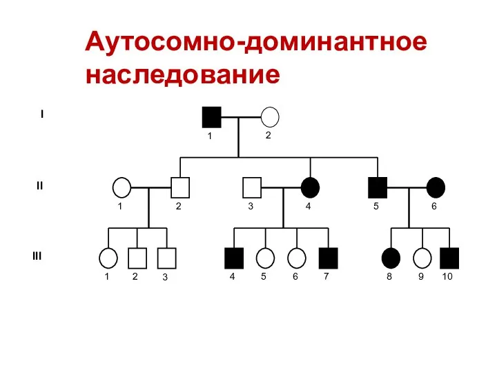 Аутосомно-доминантное наследование