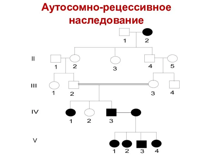 Аутосомно-рецессивное наследование