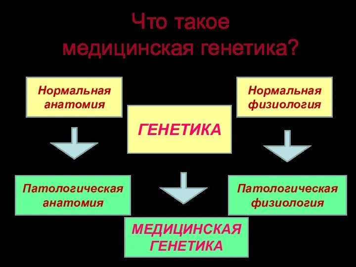 Что такое медицинская генетика? Нормальная анатомия Патологическая анатомия Нормальная физиология Патологическая физиология ГЕНЕТИКА МЕДИЦИНСКАЯ ГЕНЕТИКА