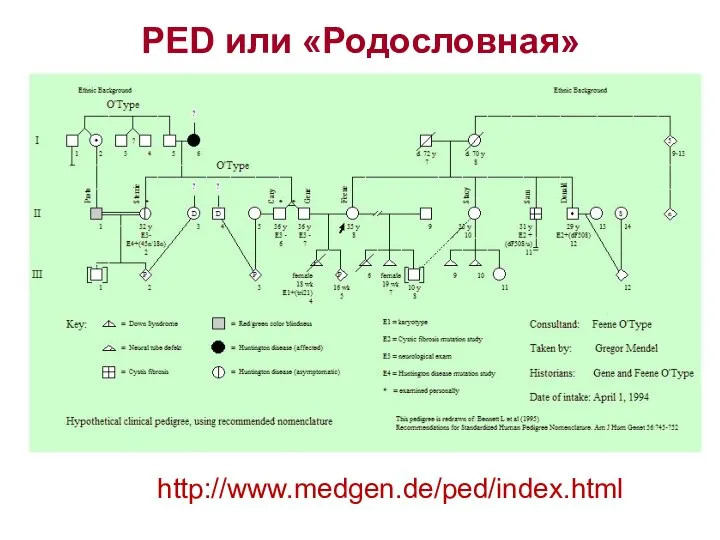 PED или «Родословная» http://www.medgen.de/ped/index.html