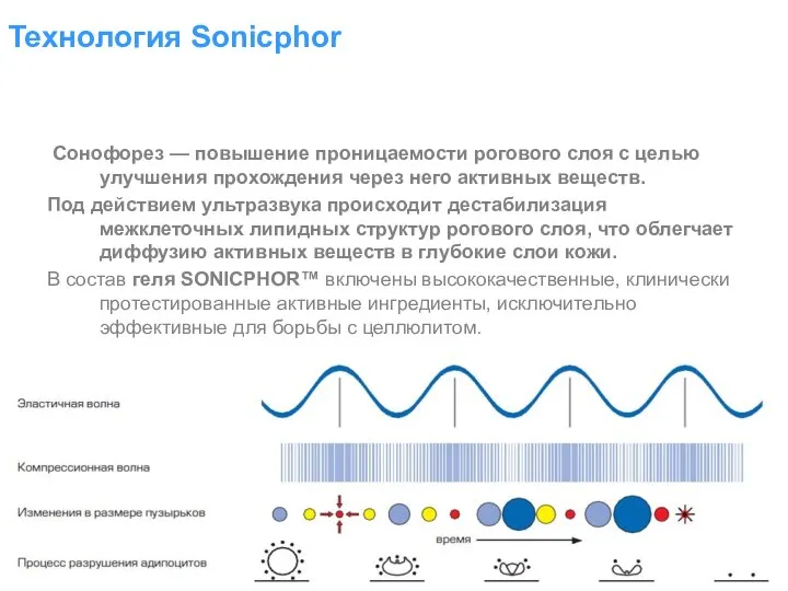 Технология Sonicphor Сонофорез — повышение проницаемости рогового слоя с целью улучшения