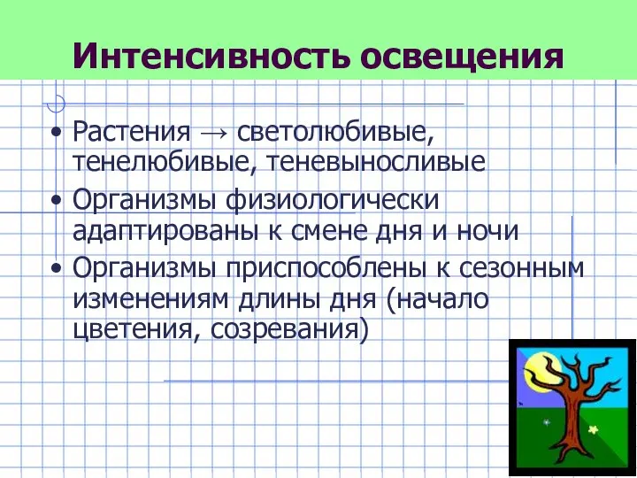 Интенсивность освещения Растения → светолюбивые, тенелюбивые, теневыносливые Организмы физиологически адаптированы к