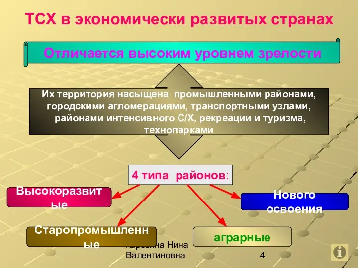 Карезина Нина Валентиновна ТСХ в экономически развитых странах Отличается высоким уровнем