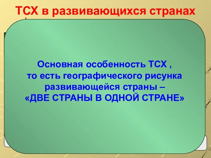 Карезина Нина Валентиновна ТСХ в развивающихся странах Колониальный тип территориальной структуры