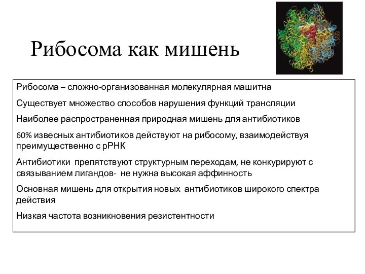 Рибосома как мишень Рибосома – сложно-организованная молекулярная машитна Существует множество способов