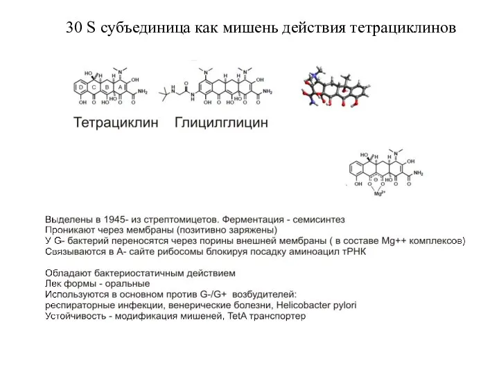 30 S субъединица как мишень действия тетрациклинов