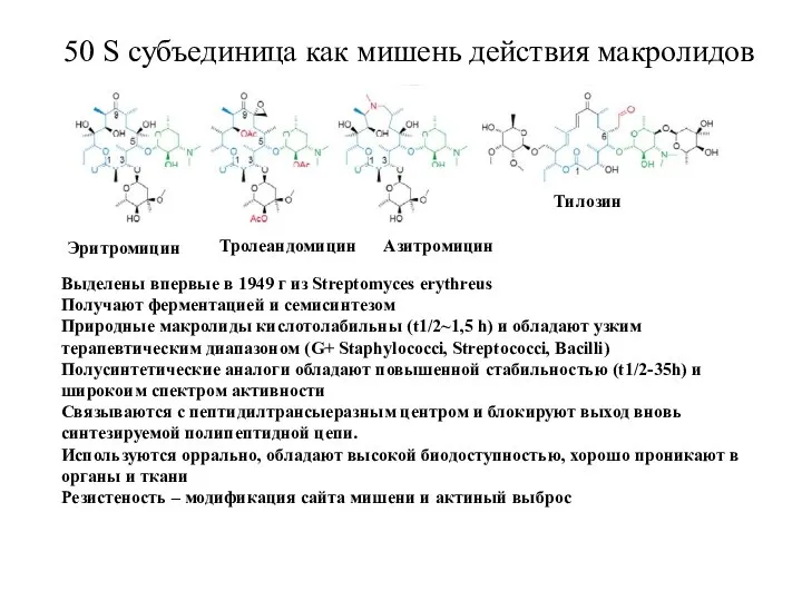 50 S субъединица как мишень действия макролидов Эритромицин Тролеандомицин Азитромицин Тилозин