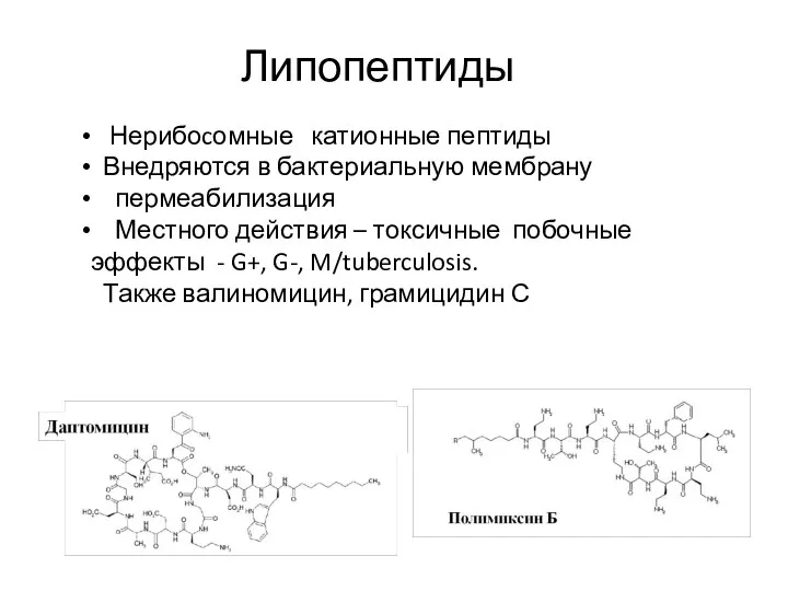 Нерибоcомные катионные пептиды Внедряются в бактериальную мембрану пермеабилизация Местного действия –