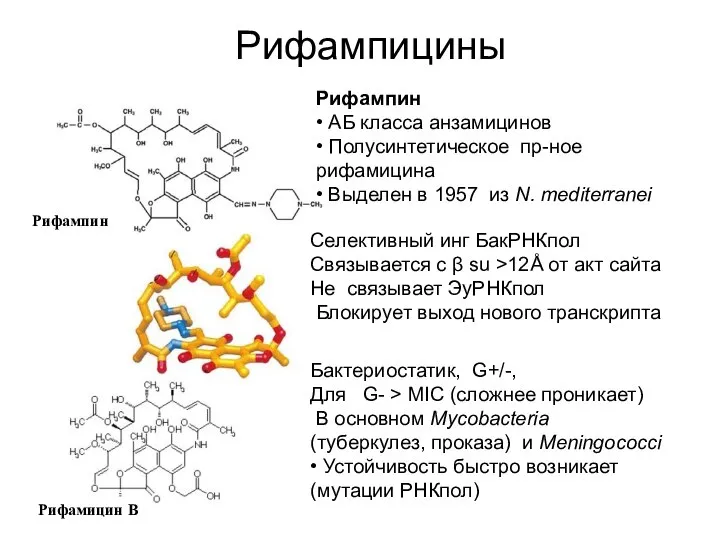 Рифампицины