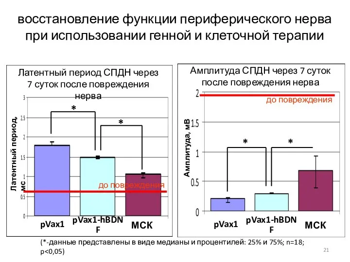 восстановление функции периферического нерва при использовании генной и клеточной терапии pVax1