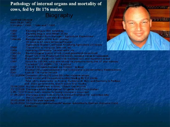 Pathology of internal organs and mortality of cows, fed by Bt 176 maize.