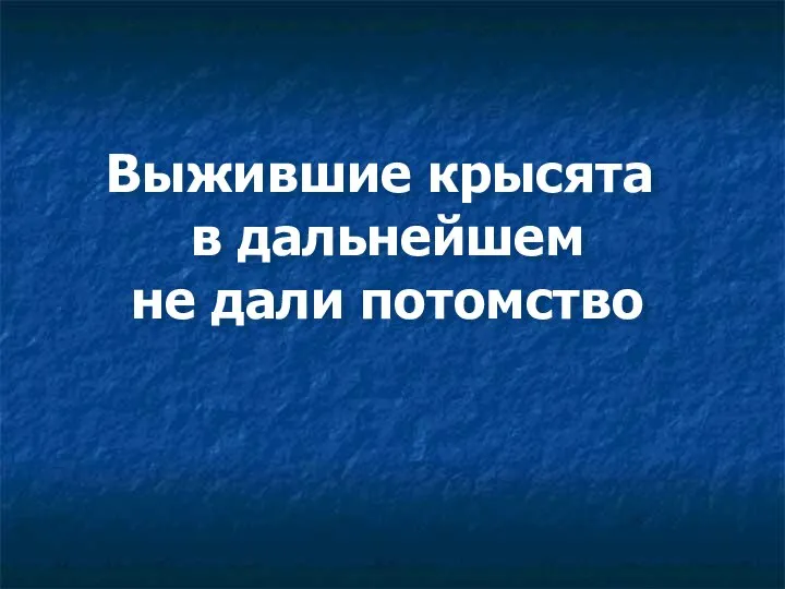 Выжившие крысята в дальнейшем не дали потомство