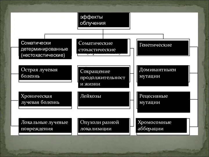 эффекты облучения Соматически детерминированные (нестохастические) Соматические стохастические Генетические Острая лучевая болезнь