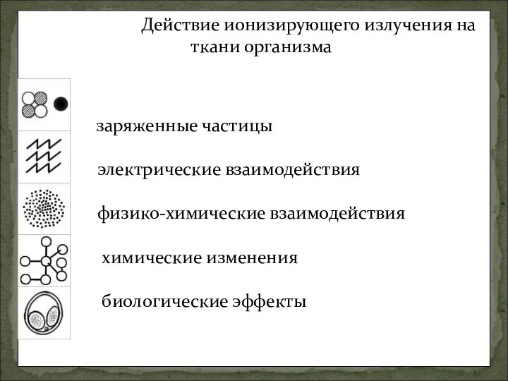 Действие ионизирующего излучения на ткани организма заряженные частицы электрические взаимодействия физико-химические взаимодействия химические изменения биологические эффекты