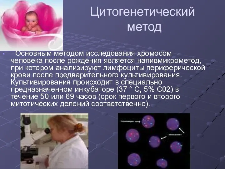 Цитогенетический метод Основным методом исследования хромосом человека после рождения является напивмикрометод,