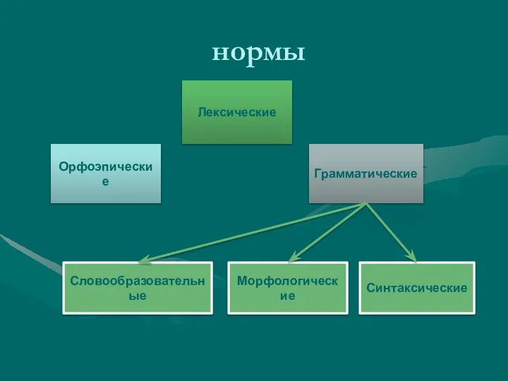 нормы Орфоэпические Лексические Грамматические Словообразовательные Морфологические Синтаксические