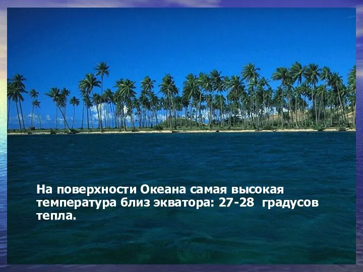 На поверхности Океана самая высокая температура близ экватора: 27-28 градусов тепла.