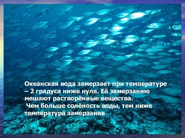 Океанская вода замерзает при температуре – 2 градуса ниже нуля. Её