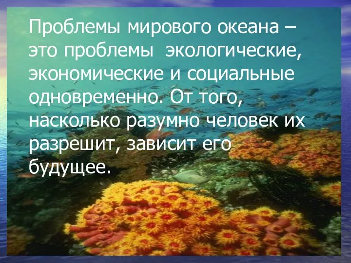 Проблемы мирового океана – это проблемы экологические, экономические и социальные одновременно.