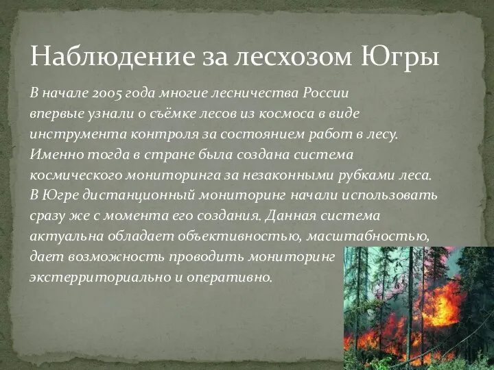 В начале 2005 года многие лесничества России впервые узнали о съёмке