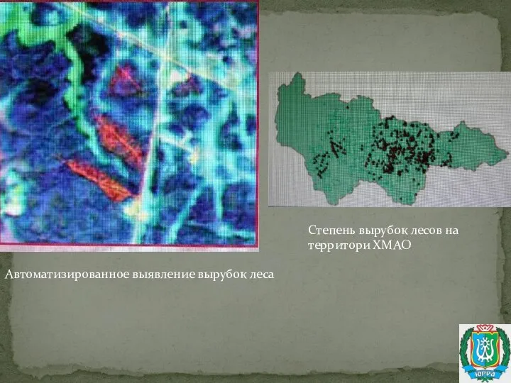 Степень вырубок лесов на территори ХМАО Автоматизированное выявление вырубок леса