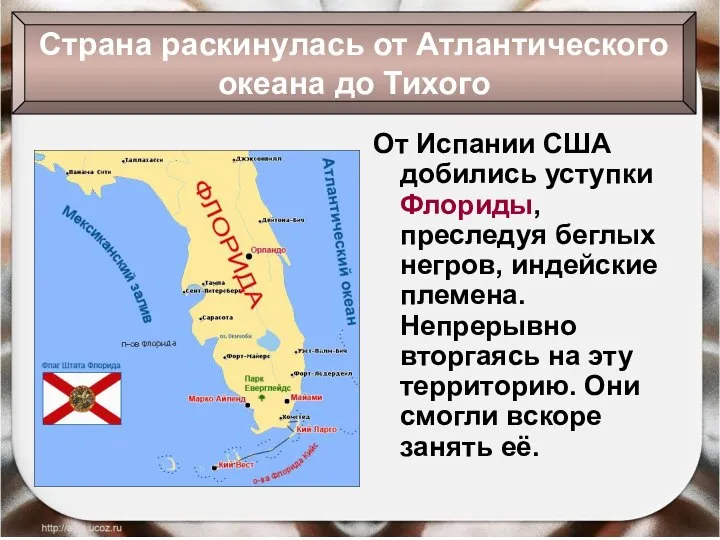 От Испании США добились уступки Флориды, преследуя беглых негров, индейские племена.