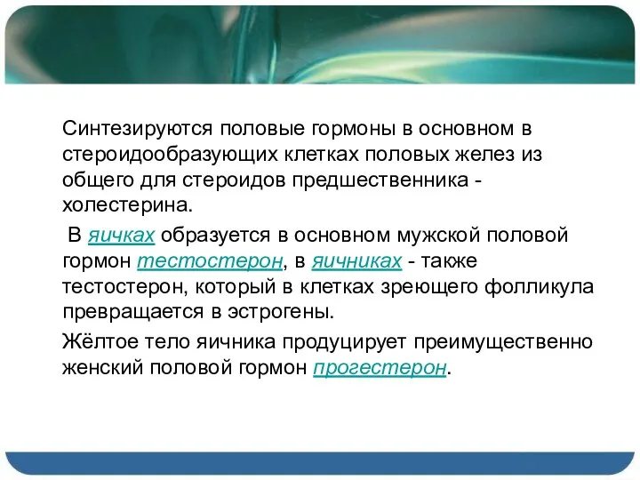 Синтезируются половые гормоны в основном в стероидообразующих клетках половых желез из