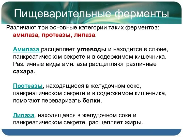 Пищеварительные ферменты Различают три основные категории таких ферментов: амилаза, протеазы, липаза.