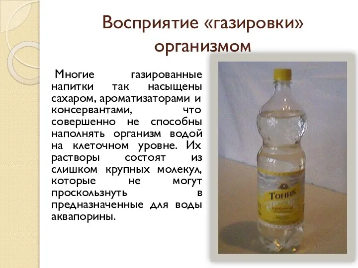 Восприятие «газировки» организмом Многие газированные напитки так насыщены сахаром, ароматизаторами и