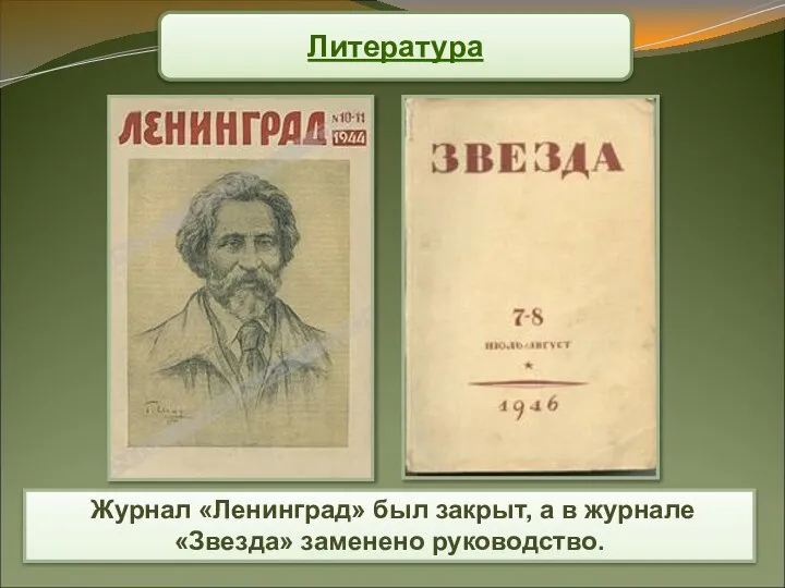Журнал «Ленинград» был закрыт, а в журнале «Звезда» заменено руководство. Литература