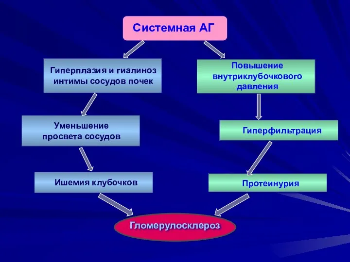 Гиперплазия и гиалиноз интимы сосудов почек Гломерулосклероз Протеинурия