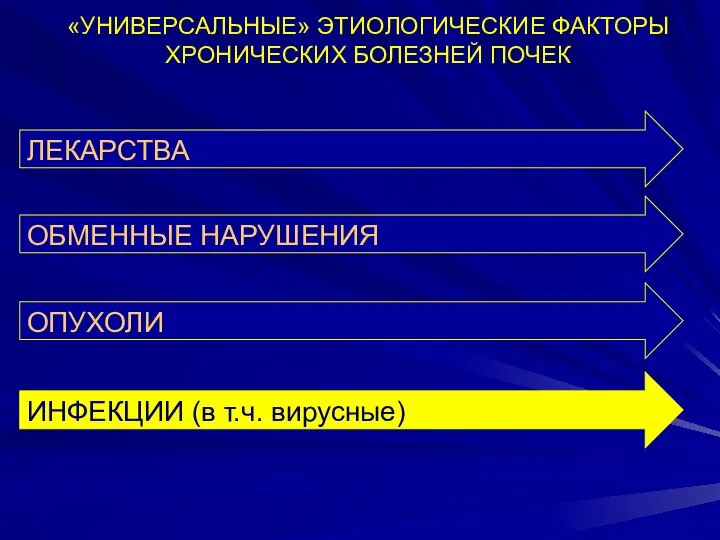 «УНИВЕРСАЛЬНЫЕ» ЭТИОЛОГИЧЕСКИЕ ФАКТОРЫ ХРОНИЧЕСКИХ БОЛЕЗНЕЙ ПОЧЕК ИНФЕКЦИИ (в т.ч. вирусные) ЛЕКАРСТВА ОБМЕННЫЕ НАРУШЕНИЯ ОПУХОЛИ