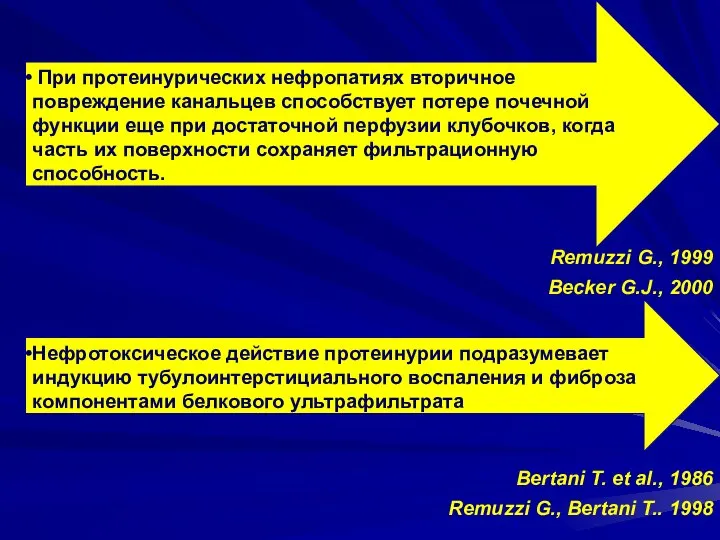 Нефротоксическое действие протеинурии подразумевает индукцию тубулоинтерстициального воспаления и фиброза компонентами белкового