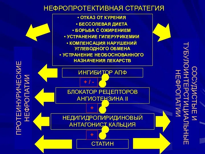 НЕФРОПРОТЕКТИВНАЯ СТРАТЕГИЯ ИНГИБИТОР АПФ БЛОКАТОР РЕЦЕПТОРОВ АНГИОТЕНЗИНА II НЕДИГИДРОПИРИДИНОВЫЙ АНТАГОНИСТ КАЛЬЦИЯ